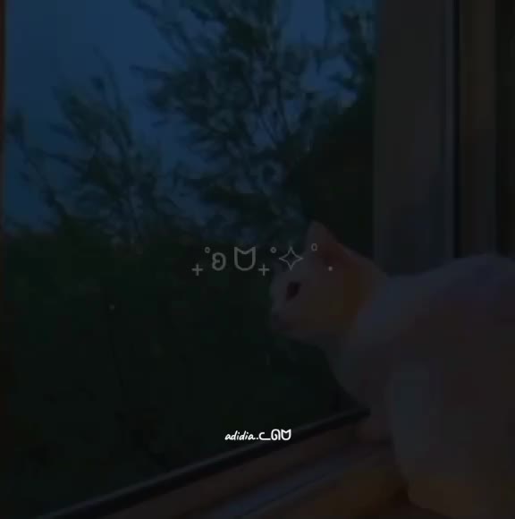 @ʟᴇᴄʜᴜᴢᴀ123ᥫ᭡🌷♱⋆