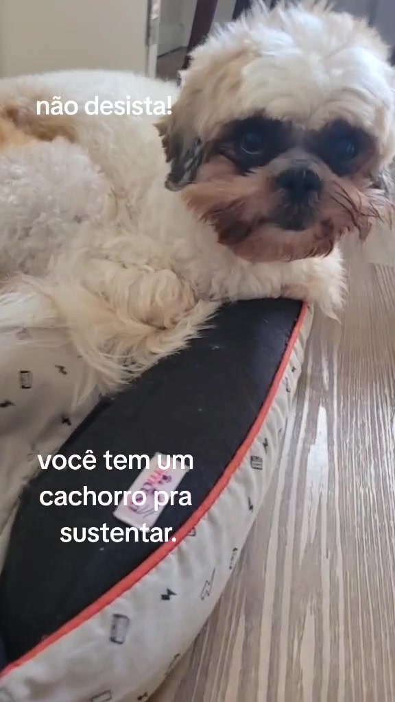 @Mike