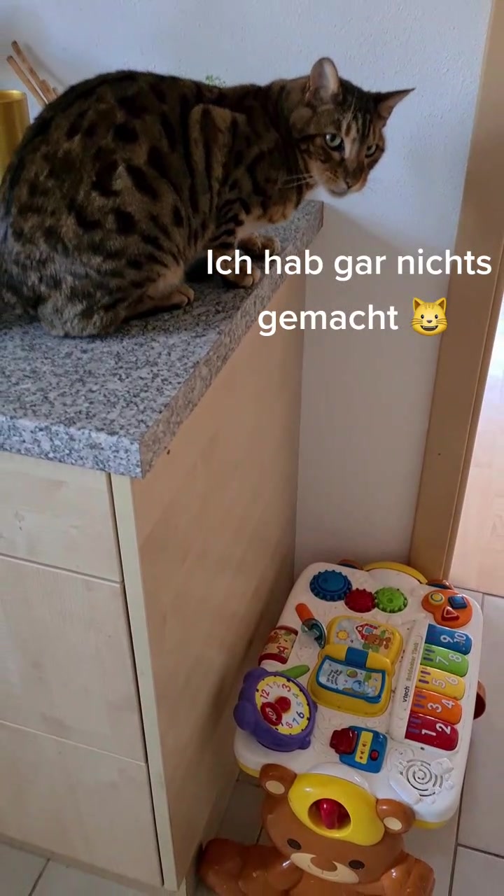 @5KidCat