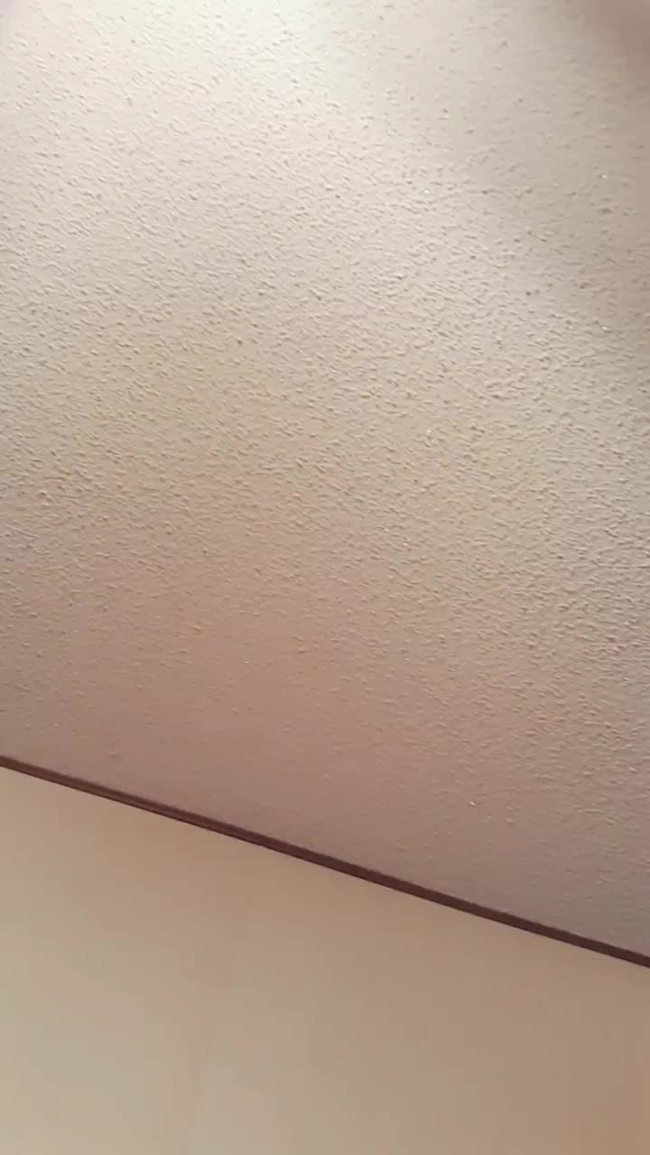 @Sia ๐ค ๐ค