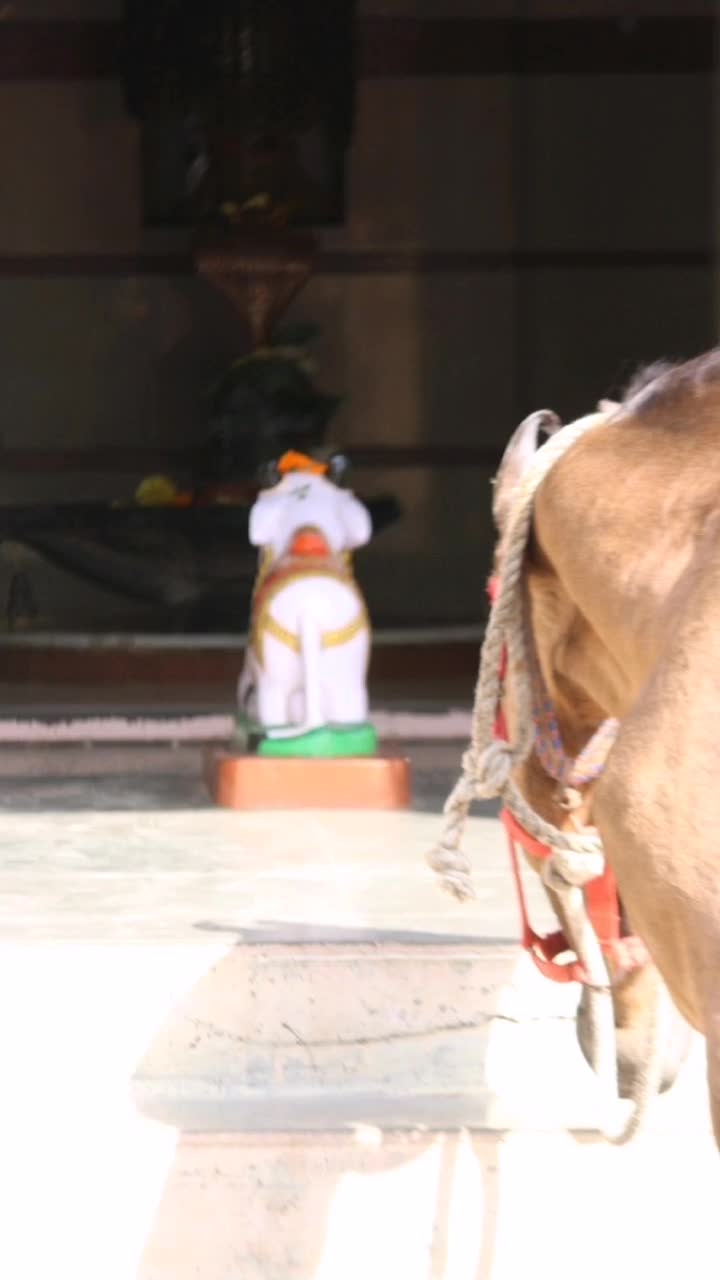 @Pranav_mesvaniya