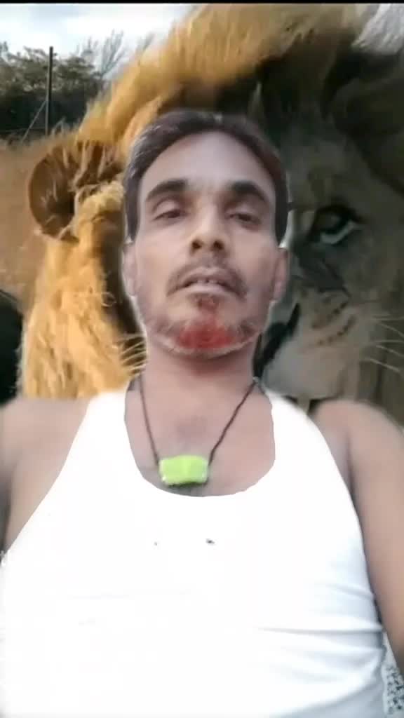 @salimshaikh