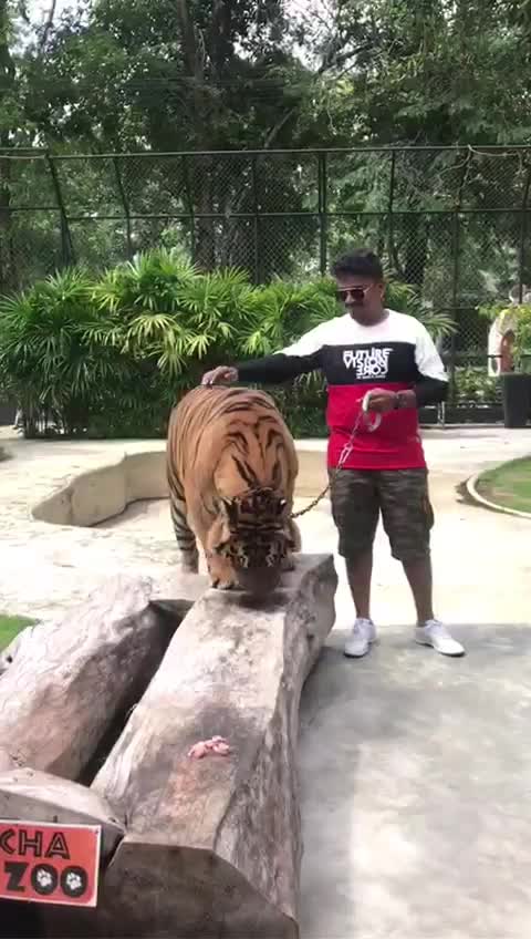 @Kiran Chandra