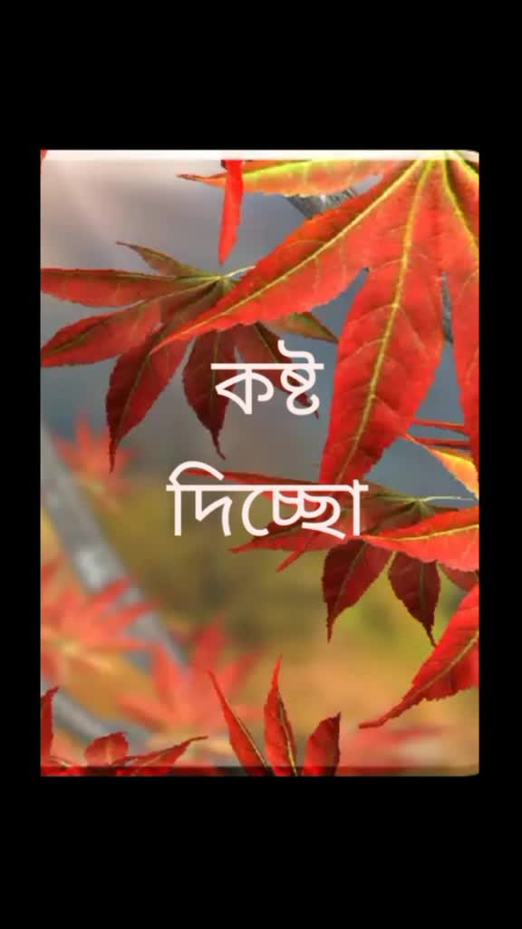 @gopal dash