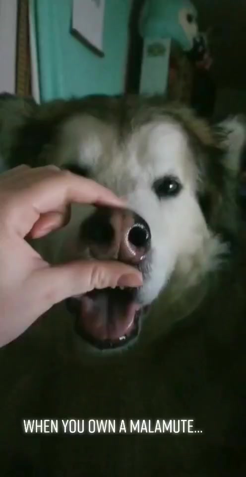 @pumpkinmoonchild
