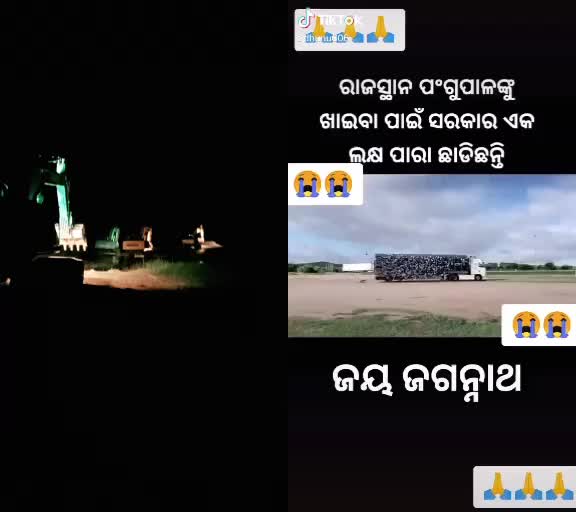 @@chabi8898
