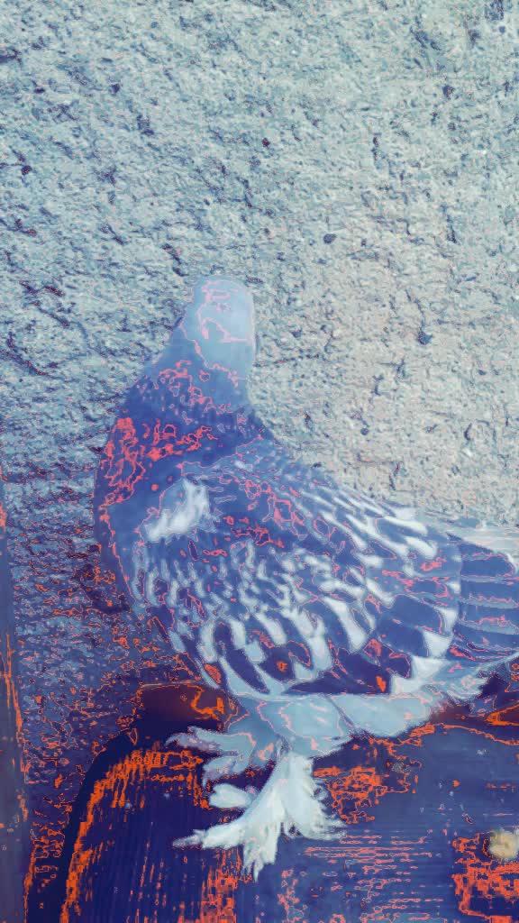 @Barış karaca