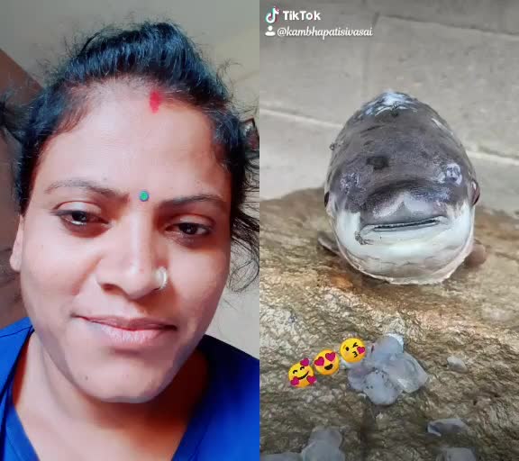 @user8429546271807