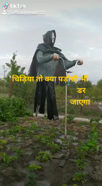 @official piyush