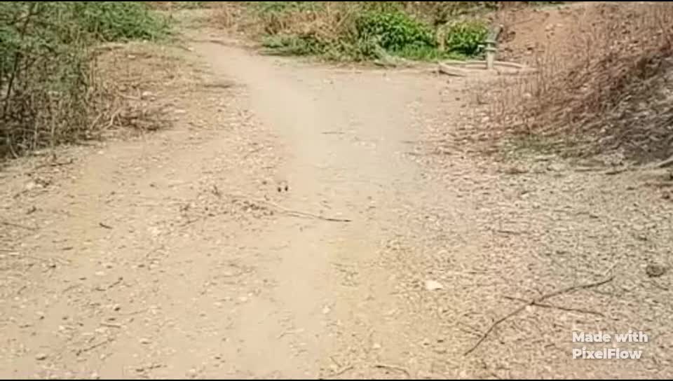 @Meena Ji
