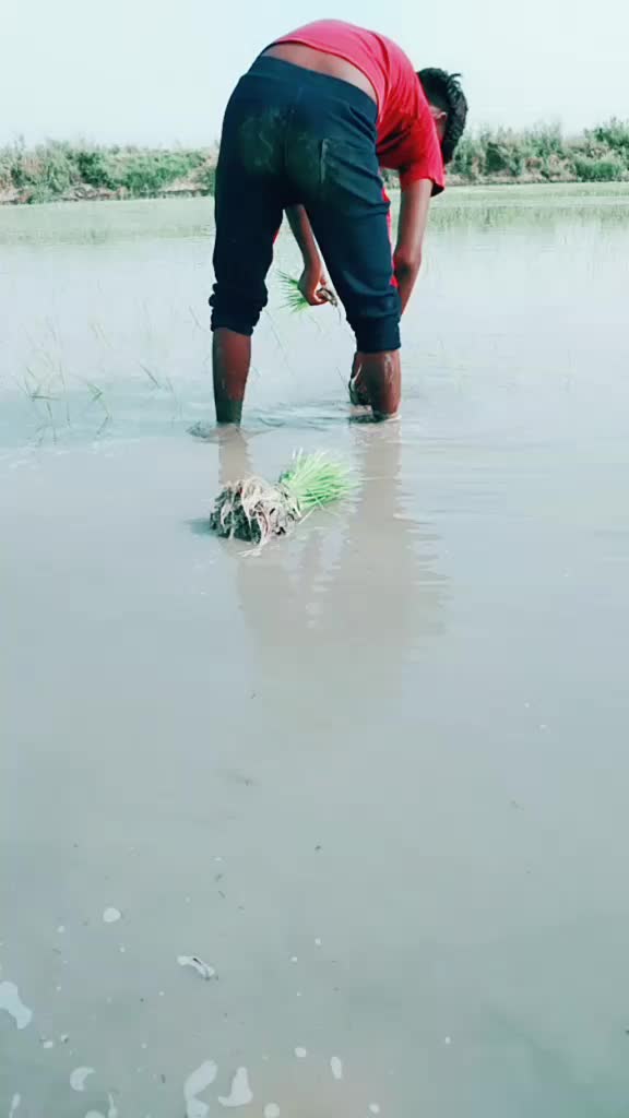 @joti Rai