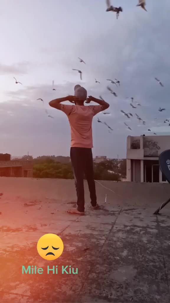 @vikasDingra007