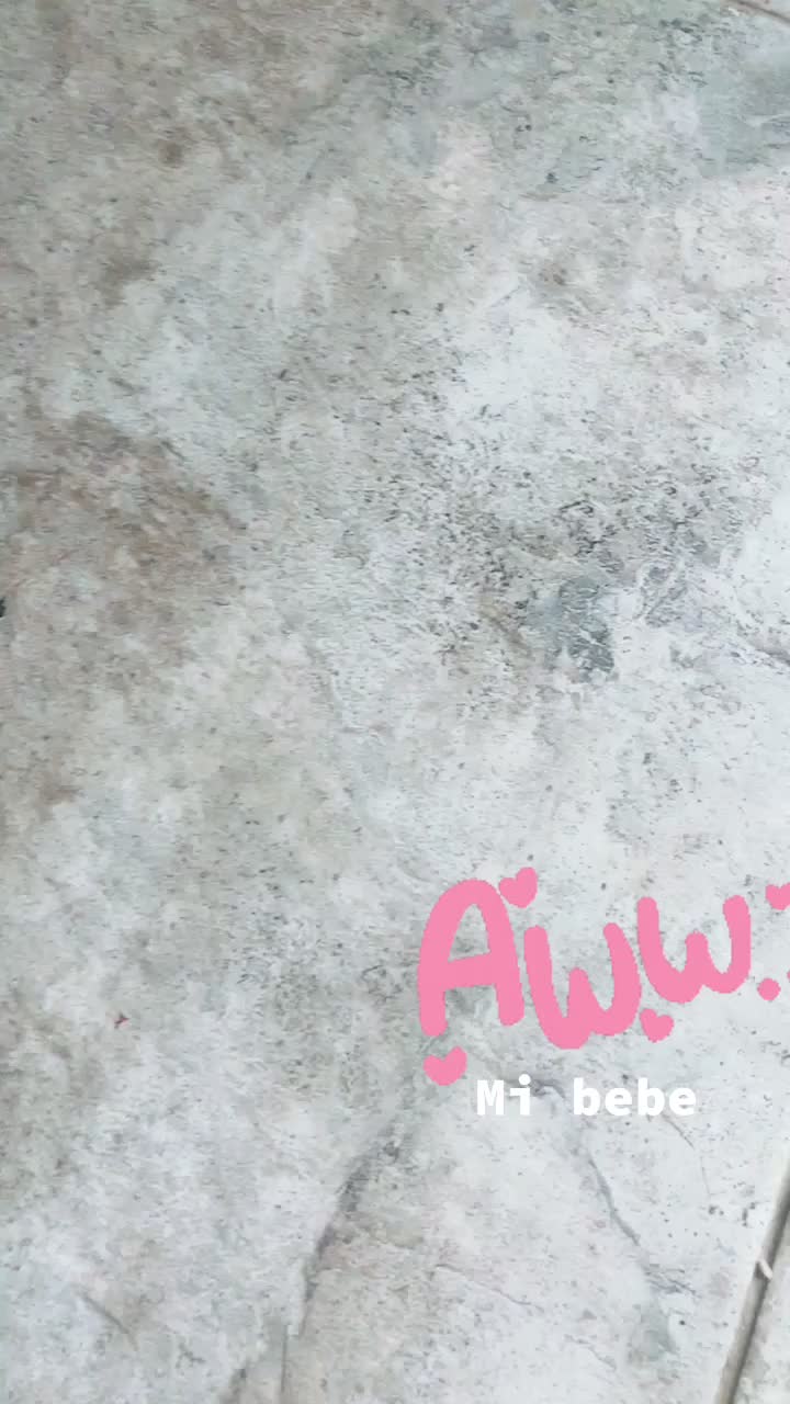 @Ara