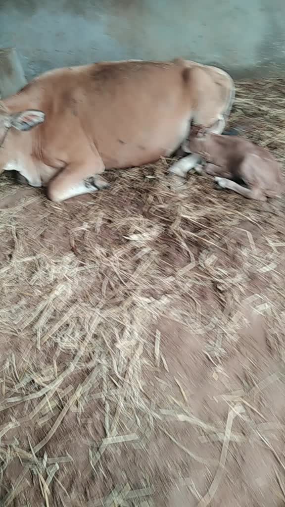 @Sunil Thota