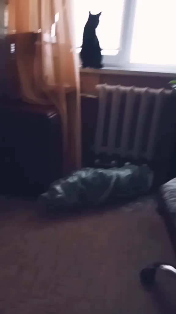 @Demmy_Moor