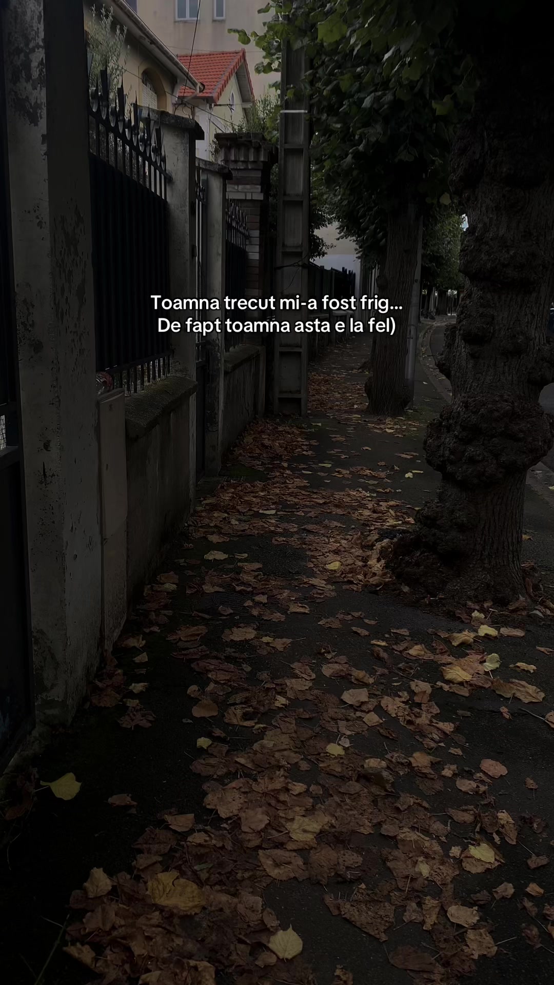 @La ușa inimii mele