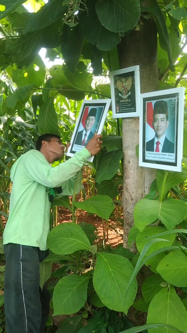 @agengsaputro