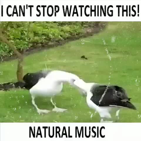 @Sapnauser903657