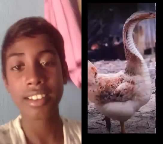 @user2582853712609