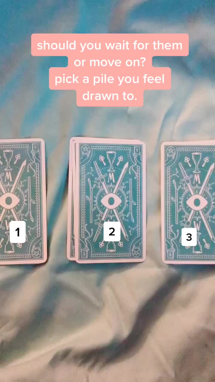 @sunflower tarot 🌻