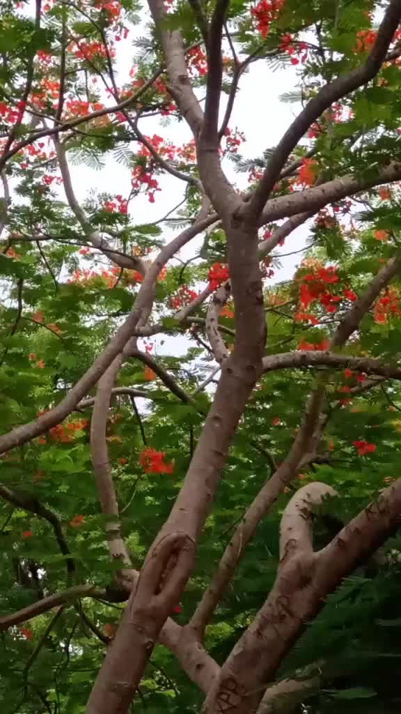 @love is karthick