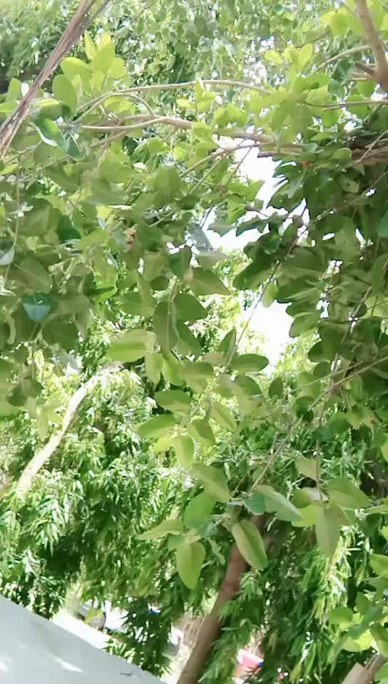 @Atanu Pramanick
