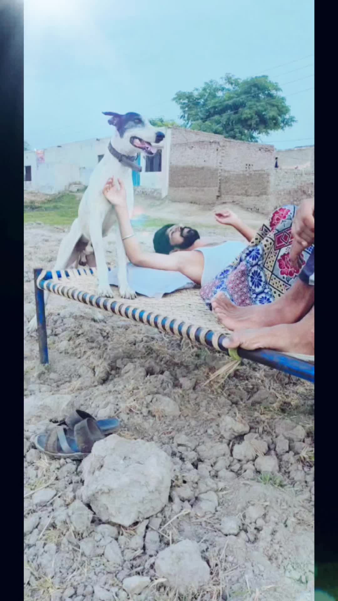 @Kashi Bharwana 302
