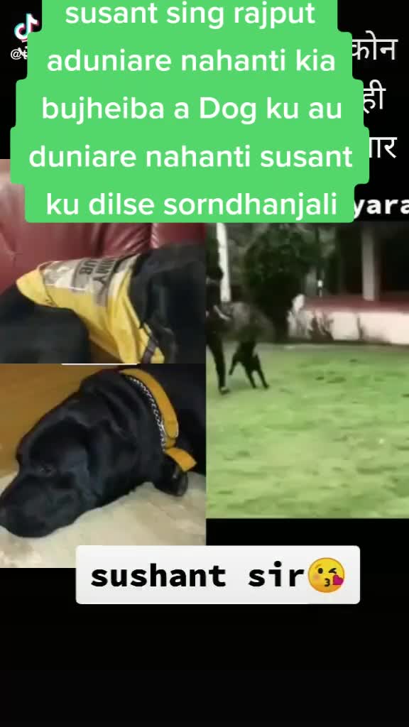 @khanti angulia