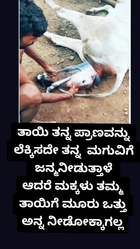 @Shivu