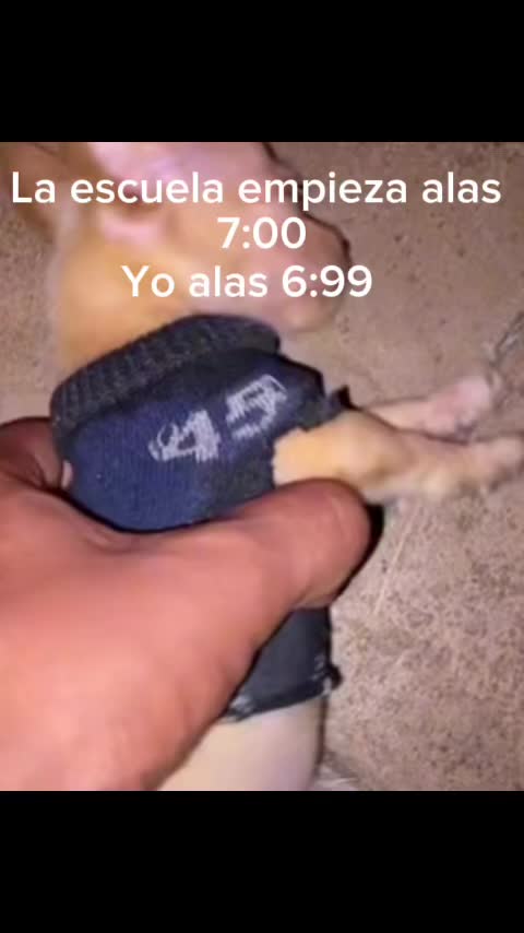 @Valen🇦🇷