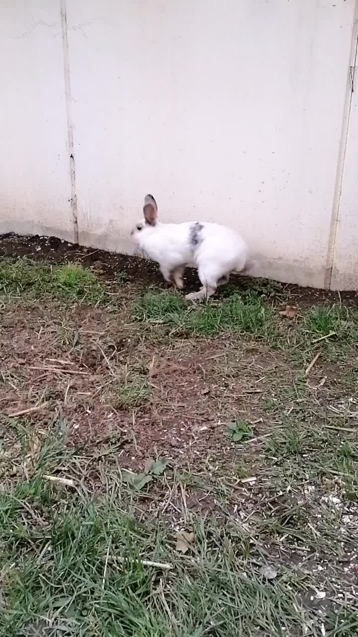 @✌︎