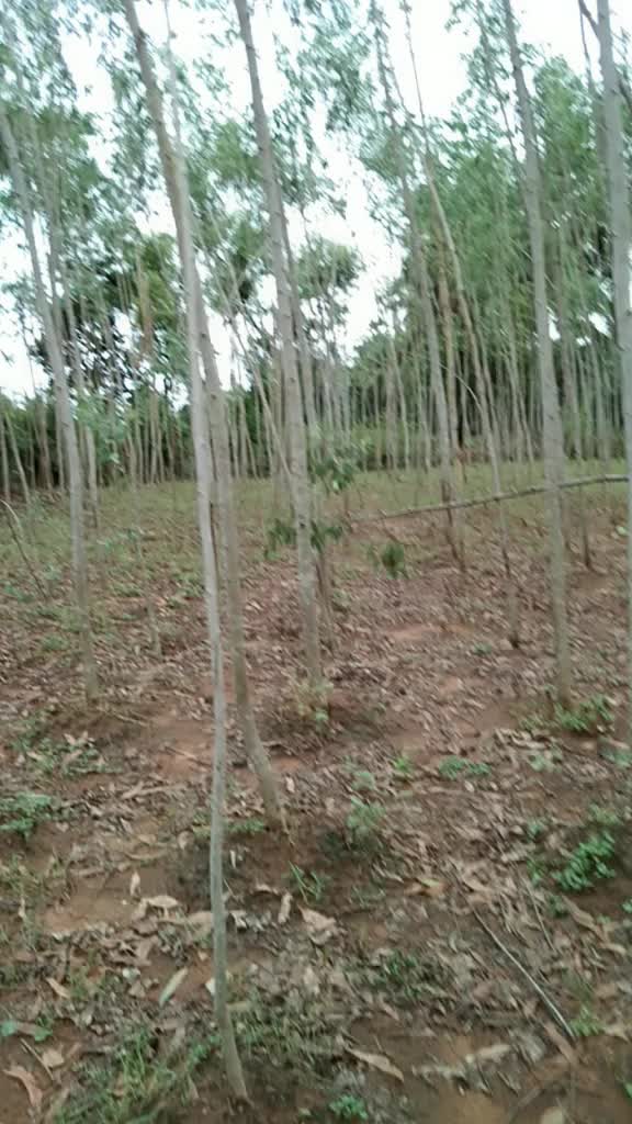 @lakshman 8367