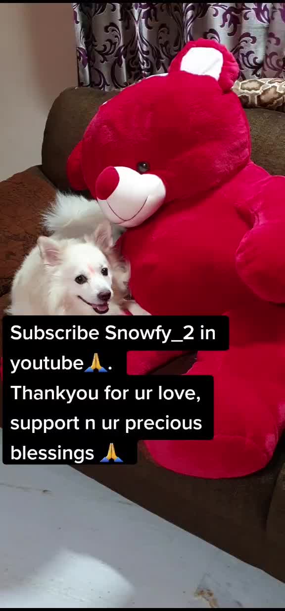 @Snowfy Maddi