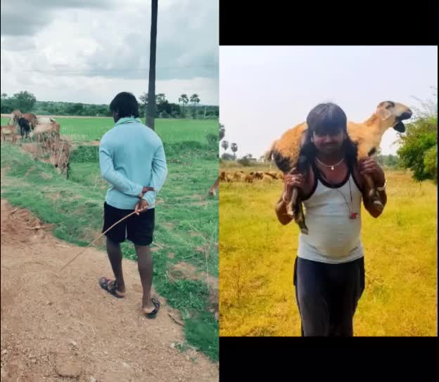 @🦁 Yadav's🦁
