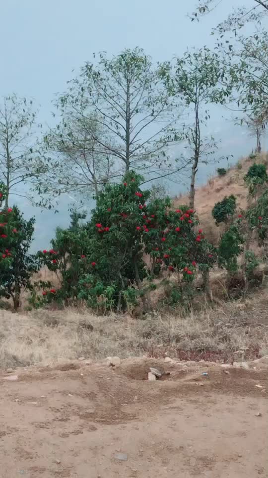 @Dev Pradhan