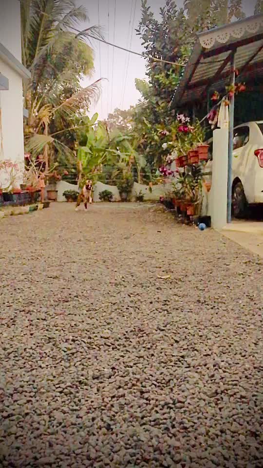 @arjunreturns