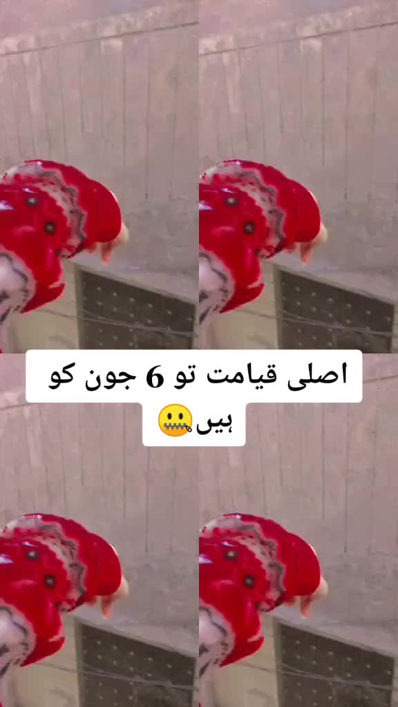 @///๐๐ซถ๐ฐ๐ฑ๐ฆข๐ฆข๐๏ธ๐๏ธ//