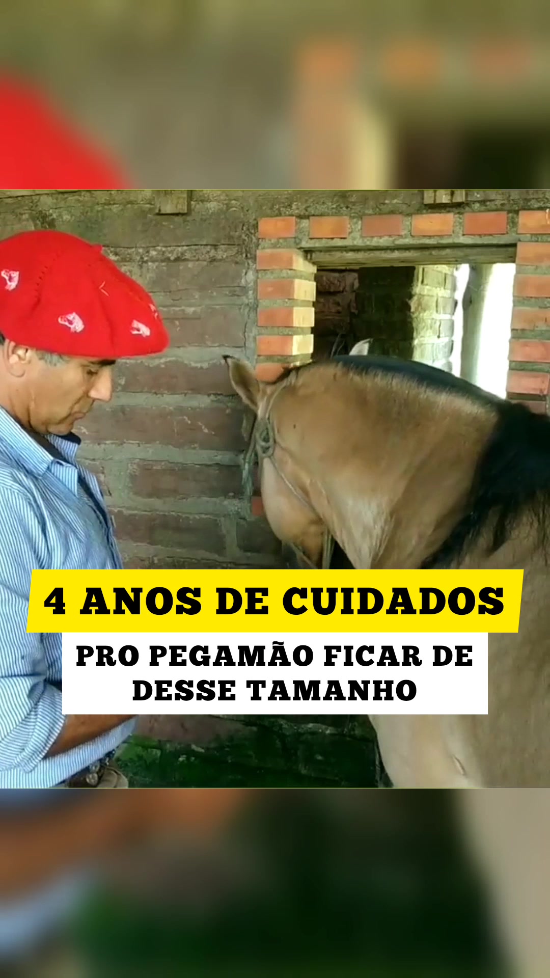 @João Antônio Rupp