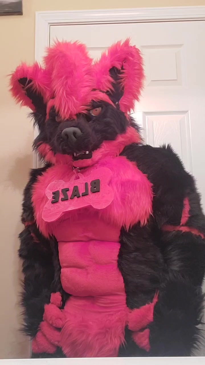 @Blaze Wolf