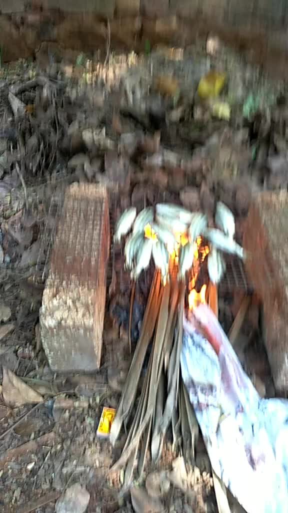 @subhashchandran1995
