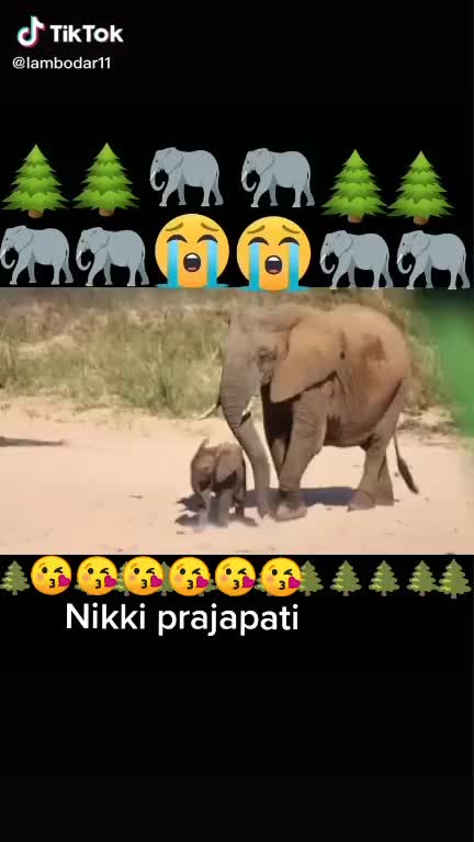@nikkiprajapati😘😘