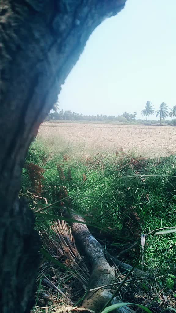 @Prudhvi