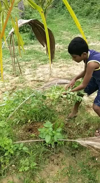 @Mohan gowda
