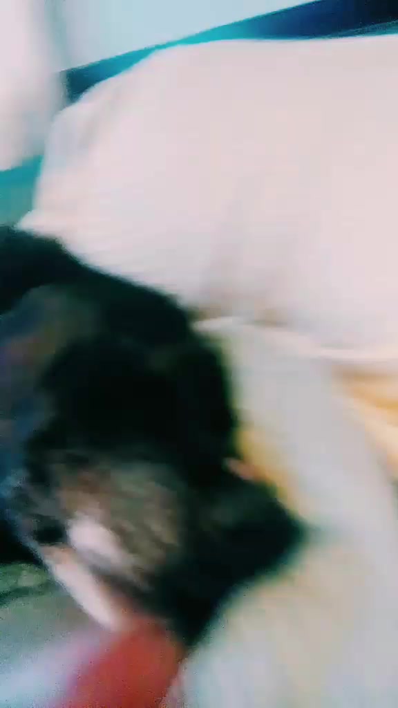 @uwu