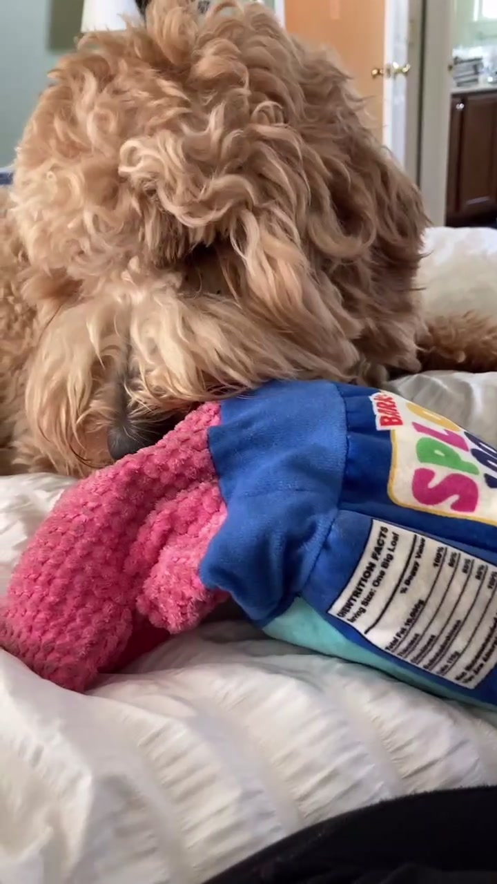 @indie.doodle