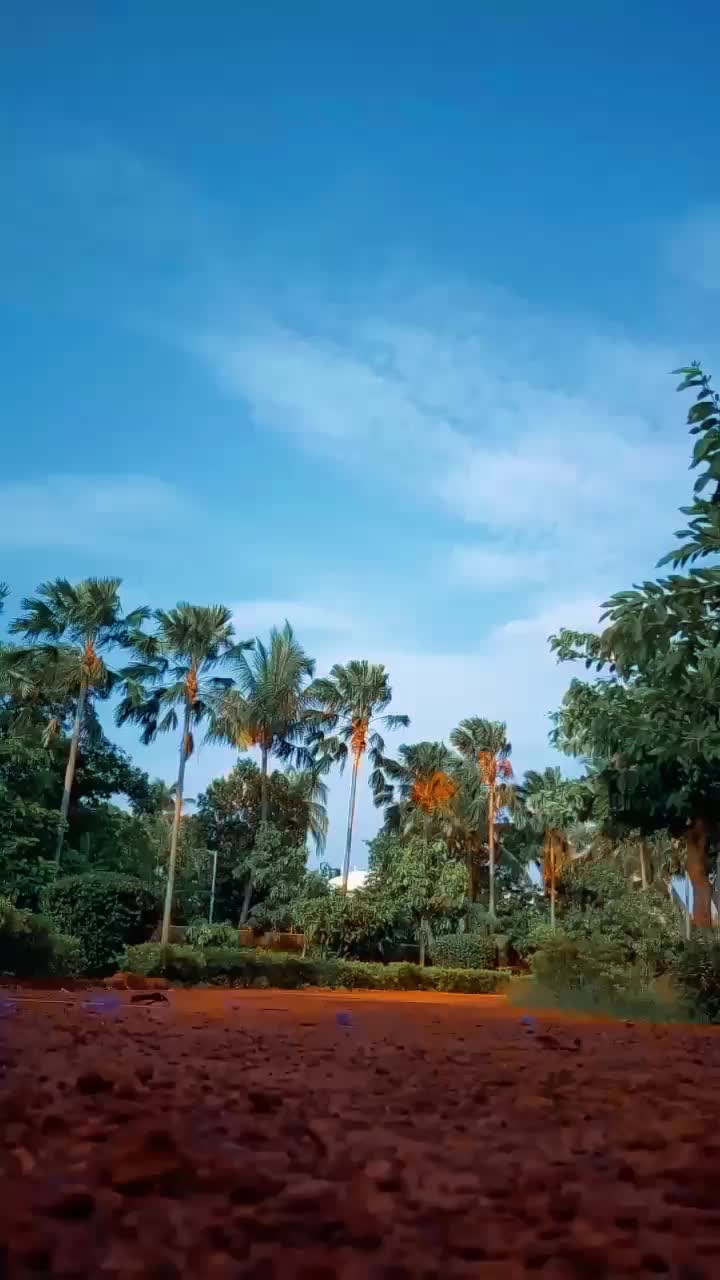 @Bikash kumar