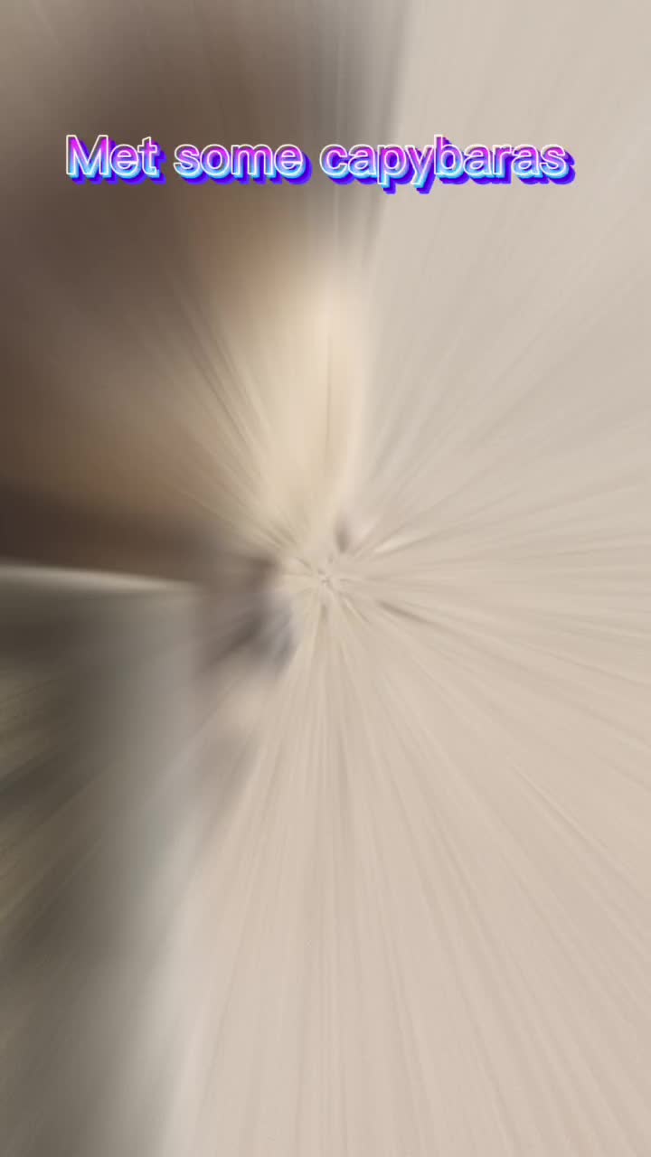 @Lil_CapybaraYT