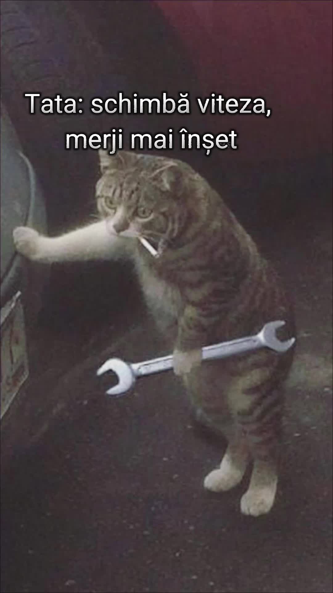 @Ａ|Ｃ
