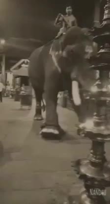 @๐ ÑÏKHÏล ๐