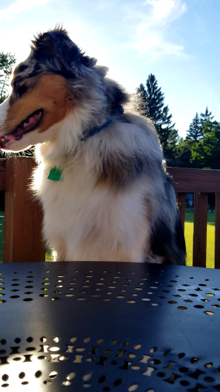@Jett The Aussie